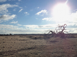 Landscape with the sky and clouds. Beautiful natural flyer, card design. Nature Template for presentation or product