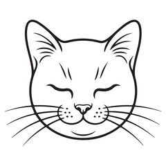 Vector illustration of a cat