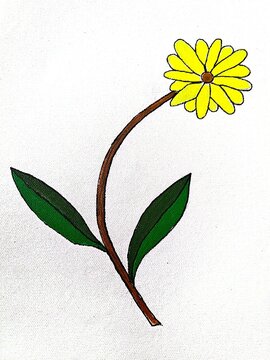 the sun flower art illustration 