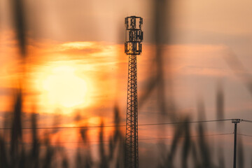 Colorful sunset on a June summer day in the countryside.