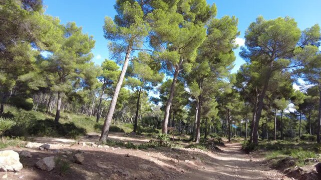 Cala Rajada - Mallorca - Spanien