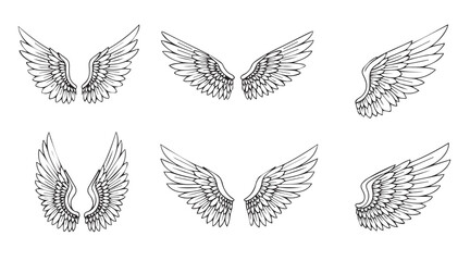 wings set vector © Nazma Begum