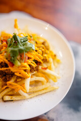 A plate of crispy French fries topped with seasoned beef, melted cheese sauce, diced tomatoes, cucumber, and fresh cilantro. The dish looks savory.