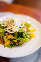 A mixed salad featuring mango, grilled chicken, nuts, and fresh greens served on a white plate. The dish is healthy, colorful, and ready for lunch or a light snack.