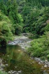 Obraz premium 愛媛県久万高原町 新緑の面河渓 