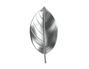 A glossy, silver leaf with detailed veins against a black background