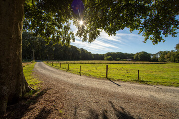 Fototapete bei efototapeten.de bestellen   