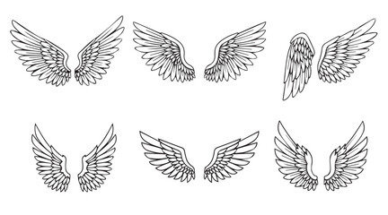 set of angel wing vector line art