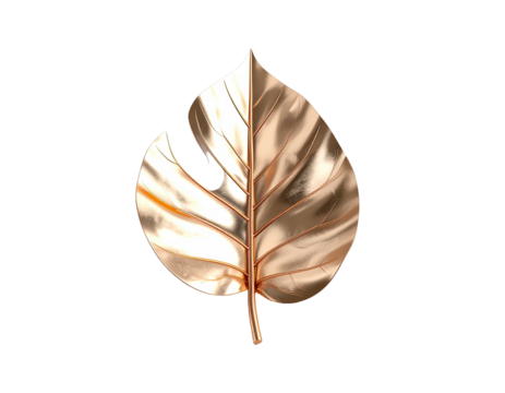 Isolated, gold leaf on black background, with a missing chunk, glossy