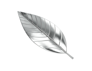 Shiny, metallic silver leaf, rendered with detailed veins, isolated on black background