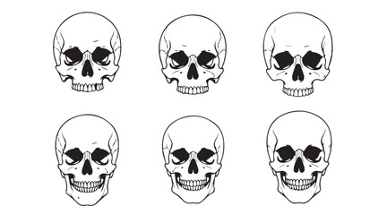 set of skulls