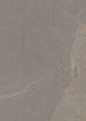Close-up view of a textured stone surface with natural veining and subtle color variations