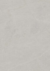 Close-up of a smooth, light gray textured surface with subtle natural patterns