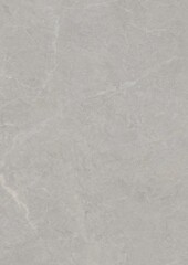 Close-up of a light gray textured surface with subtle veining patterns