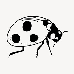 Ladybug doodle clipart, cute black & white illustration