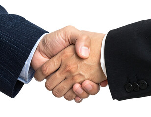 Close-up of two business people shaking hands (3)