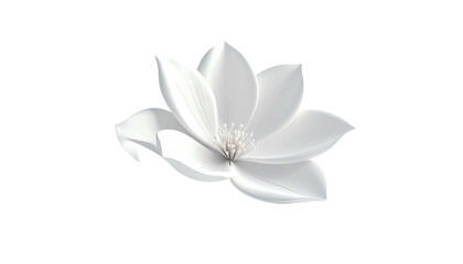 A pristine white flower, petals delicate, central stamens bright, on a black background