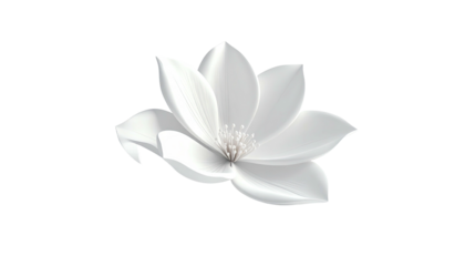A pristine white flower, petals delicate, central stamens bright, on a black background