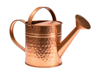 Copper watering can with hammered texture (2)