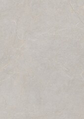 Close-up of a plain, light gray textured surface with subtle natural patterns