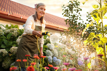 Senior woman watering beautiful flowers with hose in garden, low angle view