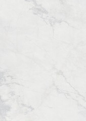 Close-up of white marble surface with gray veining patterns