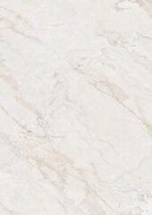 Close-up view of white marble surface with natural veining patterns
