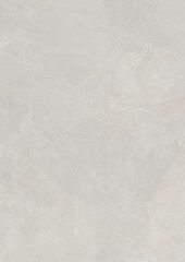 Close-up of a smooth, light gray textured surface with subtle veining patterns