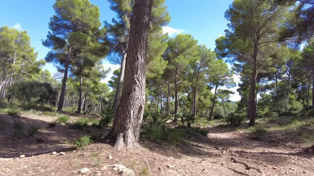 Cala Rajada - Mallorca - Spanien