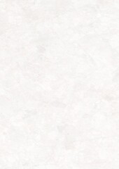 A plain white textured background with subtle variations in tone and surface detail.