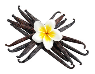 Dark brown vanilla beans crossed, centered by a white plumeria flower