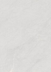 Close-up of a smooth, light gray textured surface with subtle natural veining patterns.