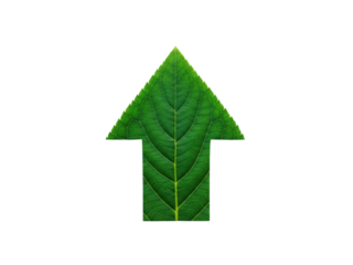 Green leaf arrow pointing upward symbolizing growth and nature