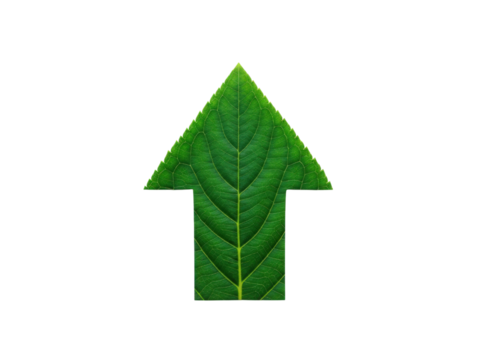 Green leaf arrow pointing upward symbolizing growth and nature