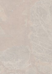 Abstract textured surface with soft earthy tones and faint natural patterns