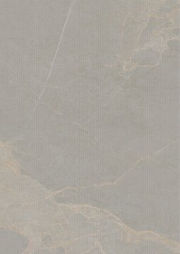 Close-up of a textured gray surface with subtle veining and natural patterns