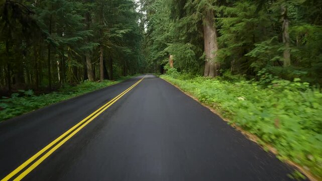 Road of Washington State,  driving across forest and mountains