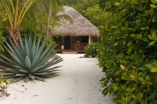Scenic trail through pristine white sands beside tropical plants, heading toward a charming beachside cabin.