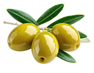 Three plump green olives on a branch with leaves
