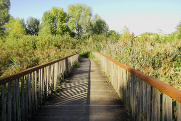 View along the mill trail in Quinto di Treviso, Veneto, Italy