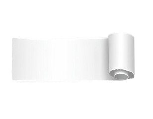 Ripped, white paper strip, rolled edge