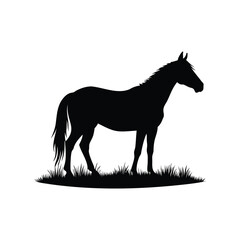 Silhouette of a majestic horse standing gracefully in a field of grass, horse pasture silhouette vector illustration