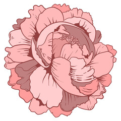 Vintage old school flash tattoo rose png symbol