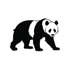 A magnificent monochrome illustration of a giant panda in a walking stance, panda walking ground silhouette vector illustration
