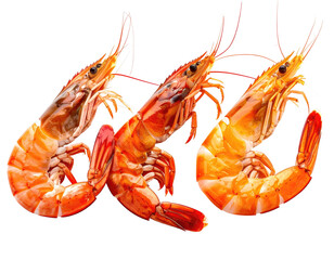 Three whole, vibrant orange-red prawns, close-up, against black