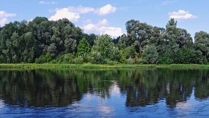 Fototapeta premium Beautiful landscape lake, forest, river and trees in summer. Sunny summer day on river. White clouds are reflected in water.