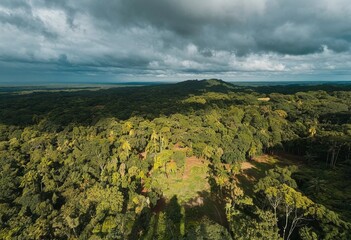 Drone flyover of tropical rainforest canopy with moving clouds and shadows