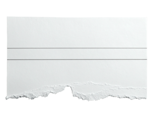 Blank white torn paper with a horizontal line