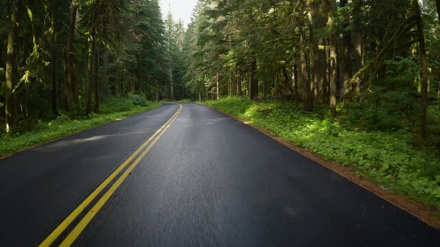 Road of Washington State,  driving across forest and mountains