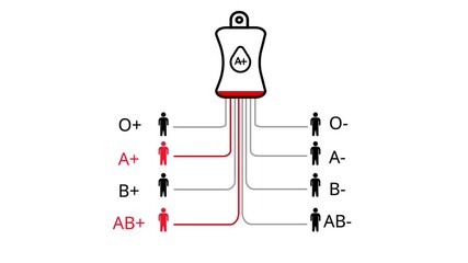 Blood type compatibility chart with A positive blood bag and compatible recipient icons Keywords: blood type, compatibility, chart, diagram, medical, healthcare, science, donation, transfusion, A